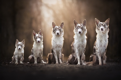 Réserver une Séance Evolution