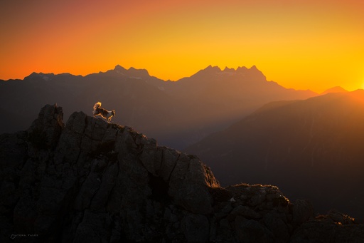 Réserver une Séance Louveteau
