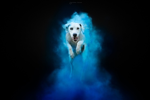 Réserver un Séance Poudre Holly