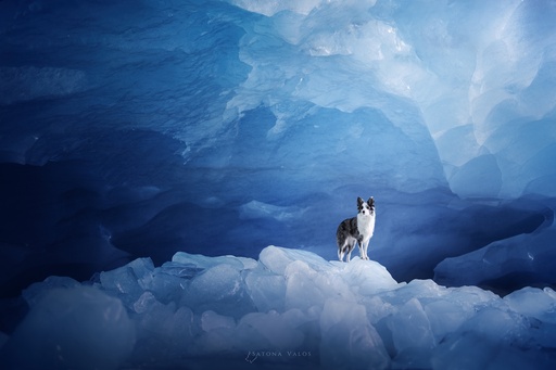 Réserver une Séance Oméga